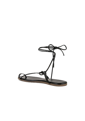TKEES Jo Sandal in Black. Size 6. Also in 10, 11, 5, 7, 8, 9.