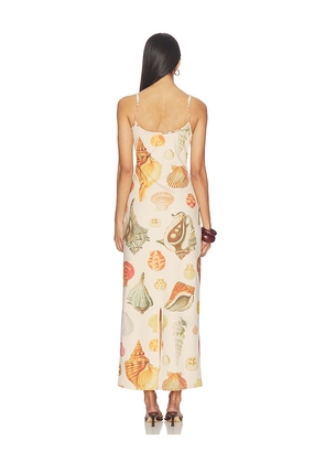 Tyler McGillivary Collector Dress in Cream. Size S. Also in XS, M, L, XL/1X.