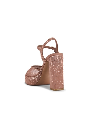 Steve Madden Liandra Platform Heels in Brown. Size 5.5. Also in 6, 6.5, 7, 7.5, 8, 8.5, 9, 9.5, 11.