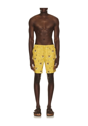 Brixton x Lone Star 7 Everyday Stretch Hybrid Short in Mustard. Size S. Also in L, M, XL/1X.