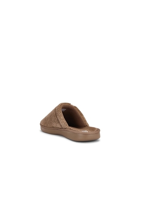 Brunch Essential in Brown. Size 7/7.5. Also in 8/8.5, 9/9.5, 10/10.5, 11/11.5, 12/12.5, 13/13.5.
