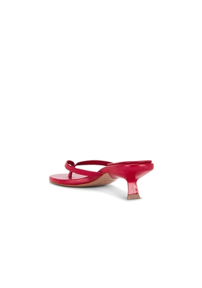 Schutz Carolyn Sandal in Red. Size 6. Also in 7.5, 8.5, 9.5, 10.