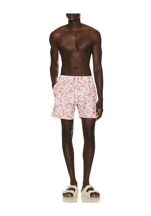 Vintage Summer 4 Way Stretch Volleys in Orange. Size S. Also in M, L, XL/1X, XXL/2X.