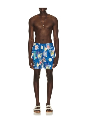 Vintage Summer Ponji Swim Volleys in Blue. Size S. Also in M, L, XL/1X, XXL/2X.