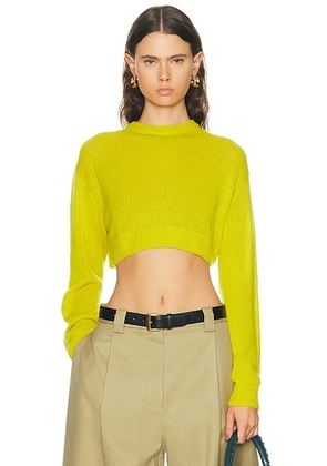 Balenciaga Cropped Crewneck Sweater in Dark Yellow - Yellow. Size M (also in L).