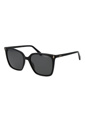 Polaroid Black Acetate Sunglasses