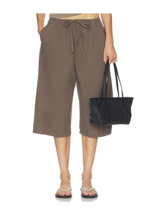 Belle Anna Breezy Short in Taupe. Size XS. Also in S, M, L, XL.
