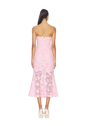 Generation Love Makaia 3d Butterfly Lace Dress in Pink. Size XS. Also in S, M.
