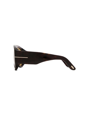 TOM FORD Bronson Sunglasses in Brown.