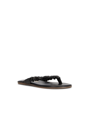 TKEES Savanna Sandal in Brown. Size 6. Also in 10, 7, 8, 9.