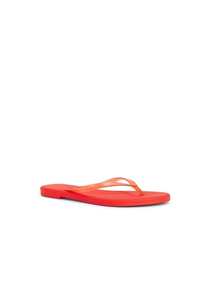 TKEES Aqua Flip Flops in Red. Size 5. Also in 6, 7, 8, 9, 10.