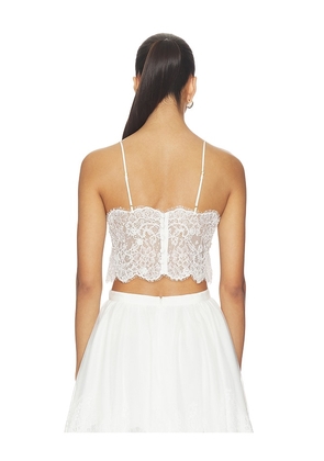 V. Chapman Shiloh Cropped Top in White. Size 4. Also in 2, 6.
