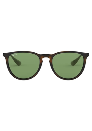 Ray-Ban Erika round-frame sunglasses - Brown