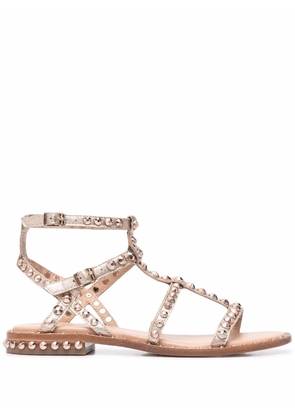 Ash precious studded sandals - Gold
