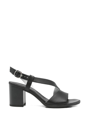 NERO GIARDINI buckle-fastening crossover-strap sandals - Black