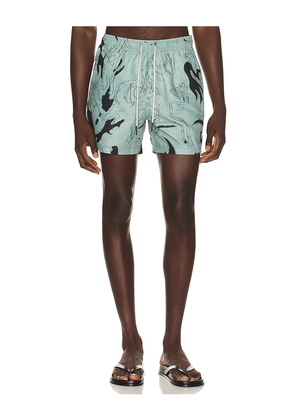 OAS Guardo Swim Shorts in Mint. Size S. Also in M, L, XL/1X.