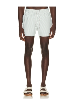 Vintage Summer Stripe Knit Shortie Volley in Sage,White. Size S. Also in M, L, XL/1X, XXL/2X.