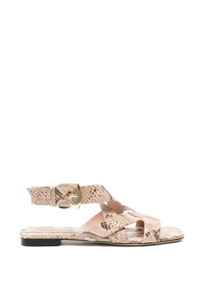 Stuart Weitzman snakeskin-effect buckled sandals - Neutrals