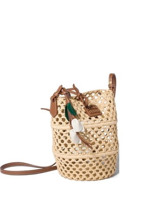 Miu Miu raffia crochet pouch - Neutrals
