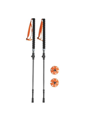 Viking Mission FS ski poles - Grey
