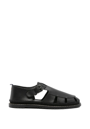 Castañer buckle-fastening leather sandals - Black