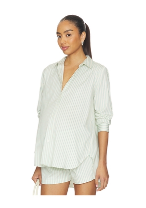 HATCH The Classic Buttondown Shirt in Green,Cream. Size XS. Also in S, M, XL.