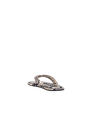 SENSO Innika III Flip Flop in Beige. Size 37. Also in 36, 38, 39.