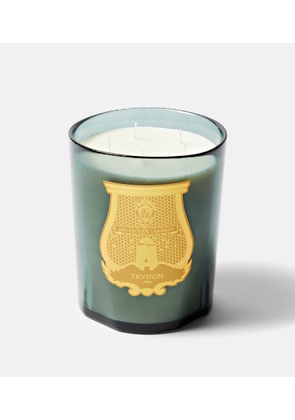 Trudon Figuerie Great scented candle