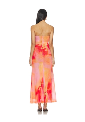 Bardot Stephanie Printed Mesh Dress in Pink. Size 4. Also in 10, 2, 6, 8.