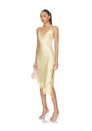 Bardot Silvio Halter Mini Dress in Yellow. Size 4. Also in 6, 8.