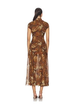 Kim Shui Midi Dress in Brown. Size XS. Also in S.