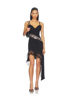 Steve Madden Wes Dress in Black. Size 4. Also in 0, 2, 6, 8, 10, 12.
