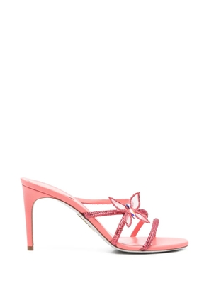 René Caovilla Butterflower embellished sandals - Pink