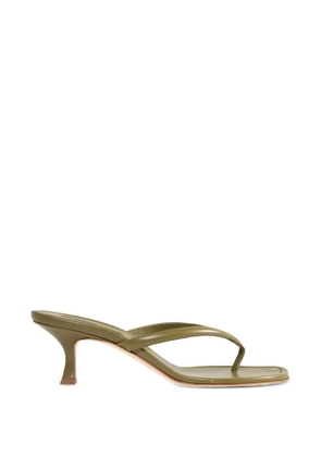 Manolo Blahnik Paterno thong sandals - Green