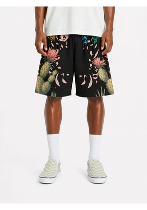 BARROW Shorts Men color Black