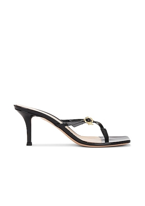Gianvito Rossi Ribbon Thong Sandal in Patent Black - Black. Size 38.5 (also in ).