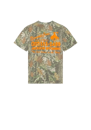 Diamond Cross Ranch Retro Address Tee in Green. Size S. Also in M.