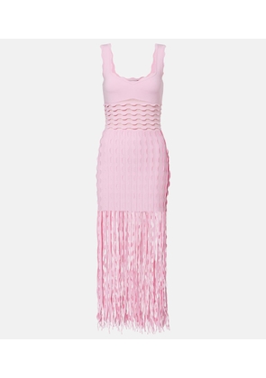 Simkhai Brionne fringed knitted midi dress