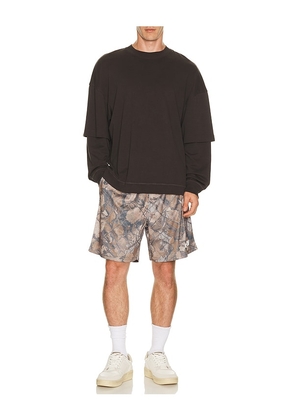 Obey Stanton Shorts in Brown. Size M. Also in S, L, XL/1X.