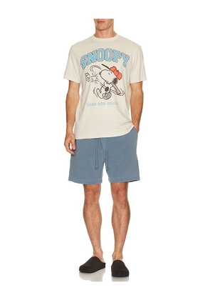 Junk Food Snoopy Home Run Champ Tee in Cream. Size S. Also in M, L, XL/1X.