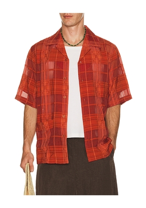 NN07 Ben Short Sleeve Shirt 50066 in Orange. Size M. Also in XL/1X, XXL/2X.