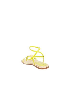 Sam Edelman Rillie Sandal in Green. Size 6. Also in 6.5, 7, 7.5, 8, 8.5, 9, 9.5, 10.