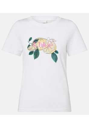 Chloe Printed cotton T-shirt