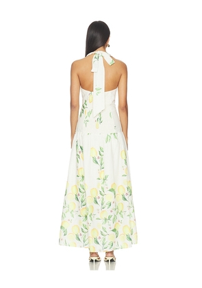 ELLIATT Hana Halter Gown in Neutral,Yellow. Size S. Also in L, M, XL, XS, XXL.