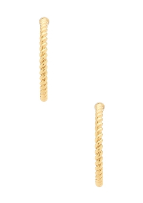 Luv AJ The Xl Sierra Rope Hoops Eaarring in Metallic Gold.