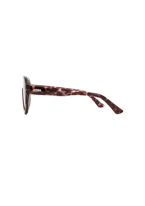 Otra Cameron Sunglasses in Brown.