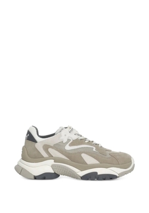 Ash Addict panelled sneakers - Neutrals