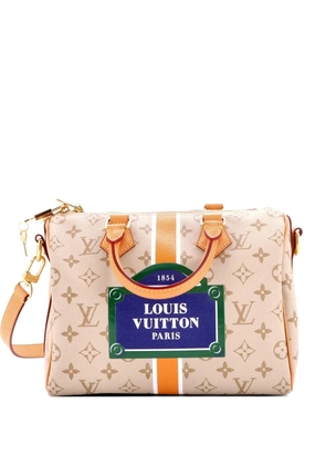 Louis Vuitton Pre-Owned Speedy Bandouliere Bag Monopaname Canvas 25 satchel - Neutrals