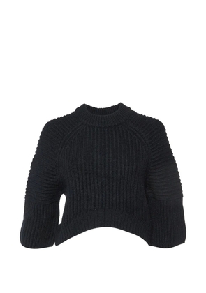 Balenciaga Pre-Owned ribbed-knit sweater - Black