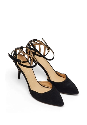 Charlotte Olympia pointed toe ankle strap pumps - Black